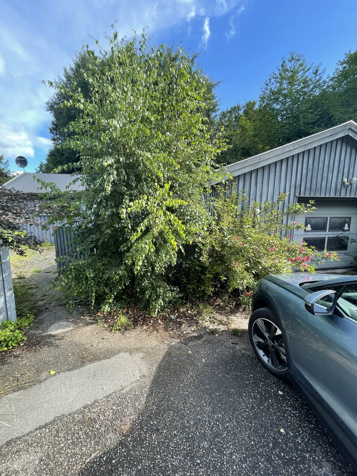 Road-facing garage gable partly hidden by trees and a parked car